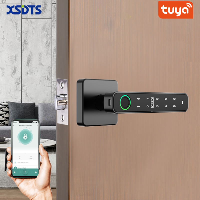 Unique Electronics Gadgets - XSDTS Tuya Handle Fingerprint Key Card